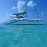 Wildcat 35