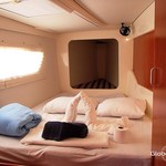 Leopard 44