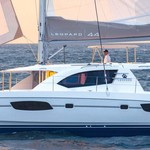 Leopard 44