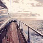 Léopard 31 open