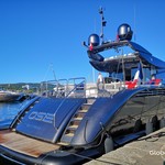 Léopard 31 open