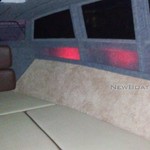 Николь Ирбис