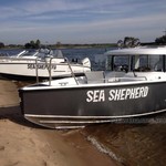 XO 240 RS Open (065)