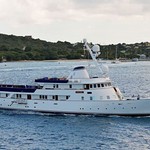 Paloma