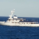 Paloma