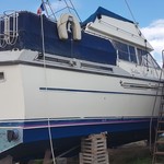 Princess 41 (available)