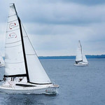 Maxus 26 Prestige + 8/1