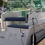 Delphia Escape 1050