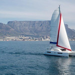 Leopard 40