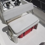 Boston Whaler 170 Montauk