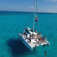 Wildcat 35