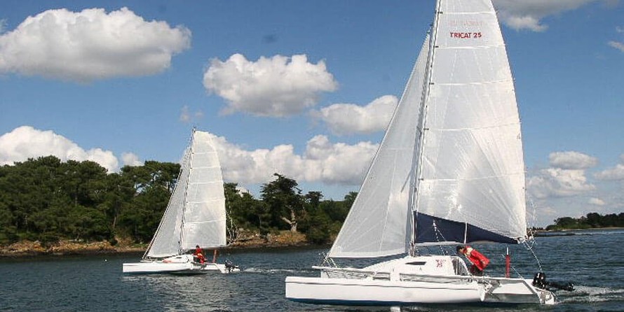 Tricat 25