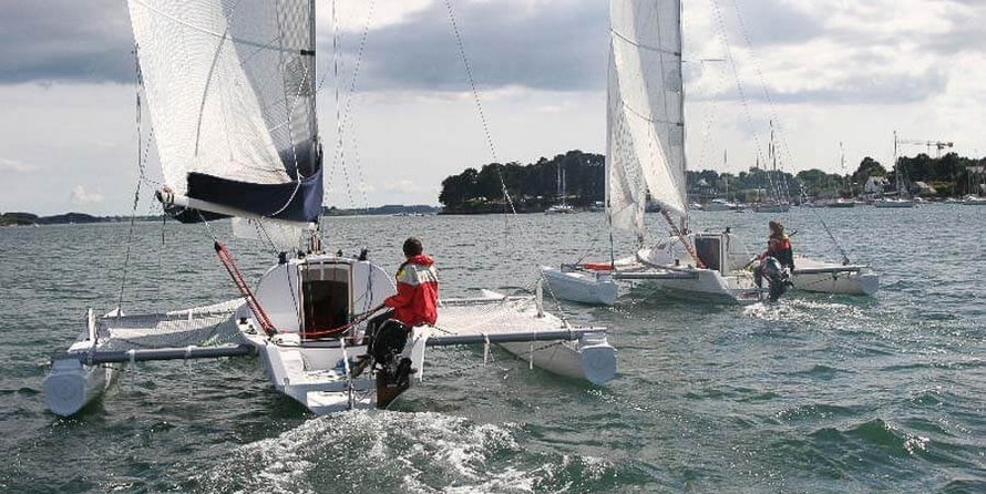 Tricat 25