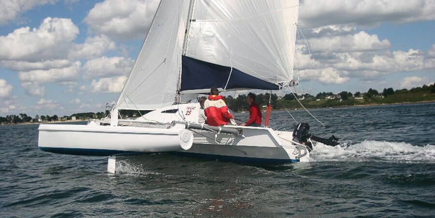 Tricat 25