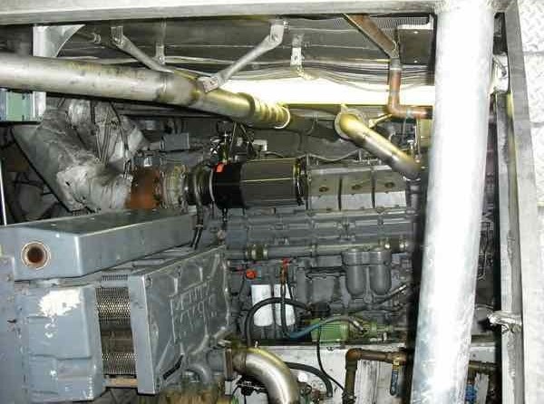 Derecktor Custom Charter