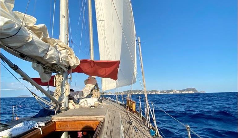 Ambrosi Sciarrelli 50